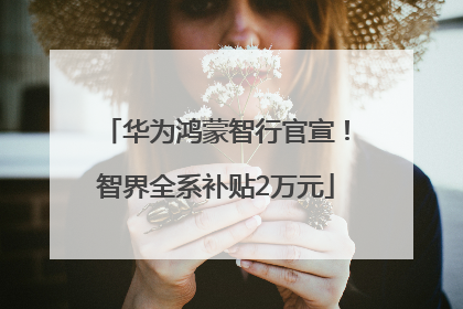 华为鸿蒙智行官宣！智界全系补贴2万元