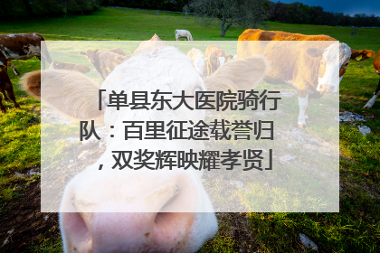 单县东大医院骑行队：百里征途载誉归，双奖辉映耀孝贤