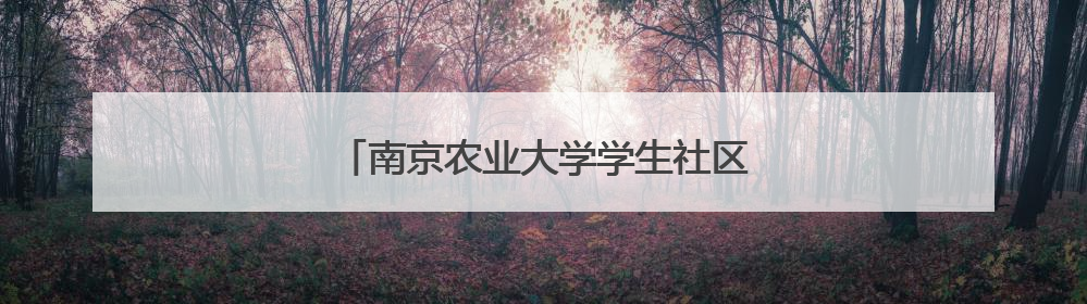 南京农业大学学生社区上演“宿舍变形记”