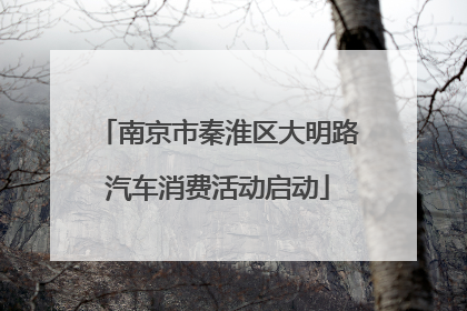 南京市秦淮区大明路汽车消费活动启动