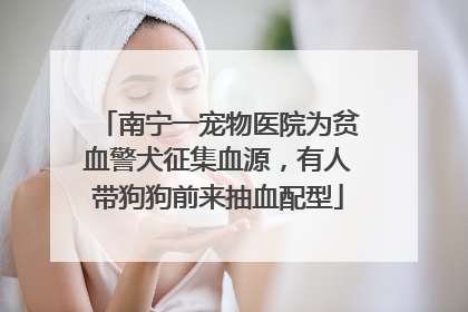 南宁一宠物医院为贫血警犬征集血源，有人带狗狗前来抽血配型