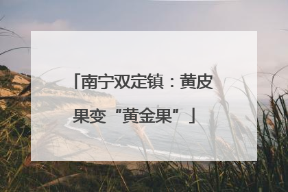 南宁双定镇：黄皮果变“黄金果”