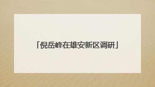 倪岳峰在雄安新区调研
