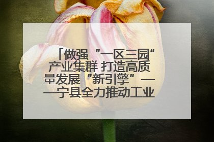 做强“一区三园”产业集群 打造高质量发展“新引擎”——宁县全力推动工业经济提质增效