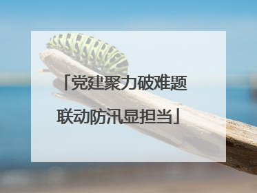 党建聚力破难题 联动防汛显担当