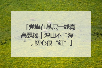 党旗在基层一线高高飘扬｜深山不“深”，初心很“红”