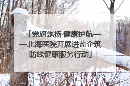 党旗飘扬·健康护航——北海医院开展进盐企筑防线健康服务行动