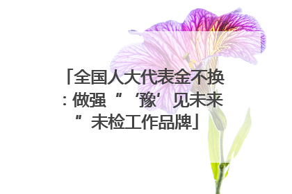 全国人大代表金不换：做强“‘豫’见未来”未检工作品牌