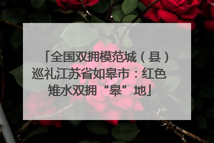 全国双拥模范城（县）巡礼江苏省如皋市：红色雉水双拥“皋”地