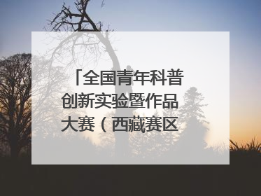 全国青年科普创新实验暨作品大赛（西藏赛区）复赛关注智慧环保等主题