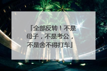 全部反转！不是母子，不是考公，不是舍不得打车
