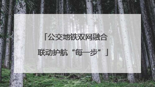 公交地铁双网融合 联动护航“每一步”