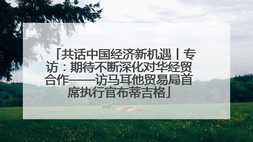 共话中国经济新机遇丨专访：期待不断深化对华经贸合作——访马耳他贸易局首席执行官布蒂吉格