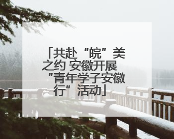 共赴“皖”美之约 安徽开展“青年学子安徽行”活动