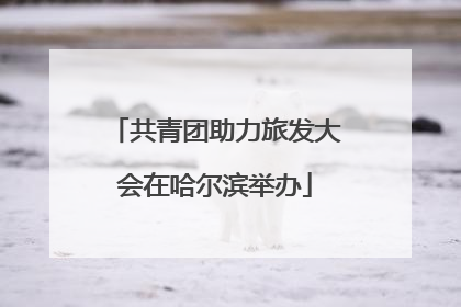 共青团助力旅发大会在哈尔滨举办