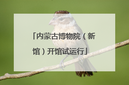 内蒙古博物院（新馆）开馆试运行