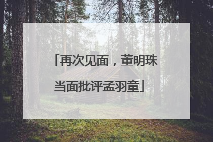 再次见面，董明珠当面批评孟羽童