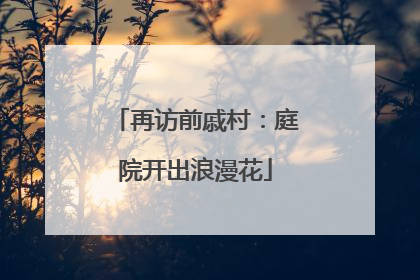 再访前戚村：庭院开出浪漫花