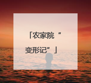 农家院“变形记”