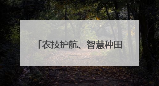 农技护航、智慧种田 “三夏”时节各地都在抢农时 忙耕种
