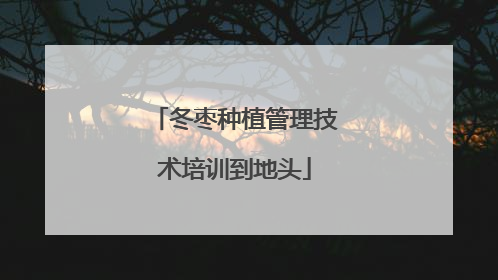冬枣种植管理技术培训到地头