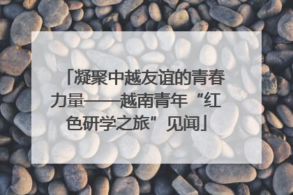 凝聚中越友谊的青春力量——越南青年“红色研学之旅”见闻