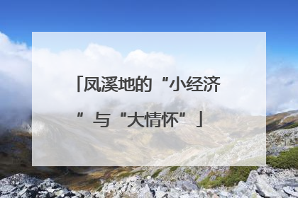 凤溪地的“小经济”与“大情怀”