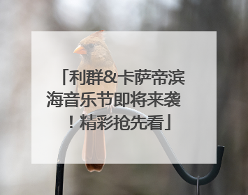 利群&卡萨帝滨海音乐节即将来袭！精彩抢先看