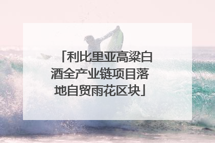 利比里亚高粱白酒全产业链项目落地自贸雨花区块