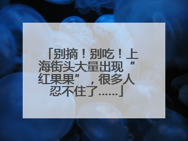 别摘！别吃！上海街头大量出现“红果果”，很多人忍不住了……