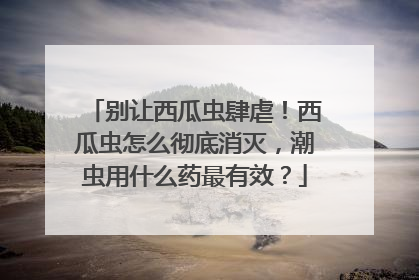 别让西瓜虫肆虐！西瓜虫怎么彻底消灭，潮虫用什么药最有效？