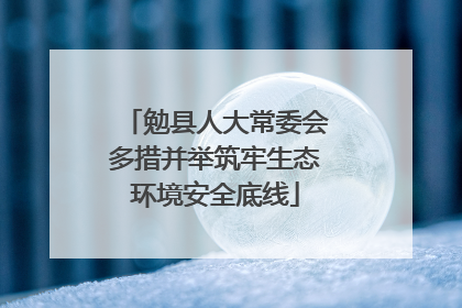 勉县人大常委会多措并举筑牢生态环境安全底线