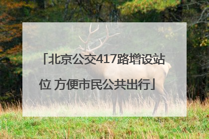 北京公交417路增设站位 方便市民公共出行
