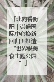 北向看衡阳｜崇盛国际中心焕新回归！打造“世界级美食主题公园”