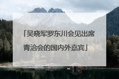 吴晓军罗东川会见出席青洽会的国内外嘉宾