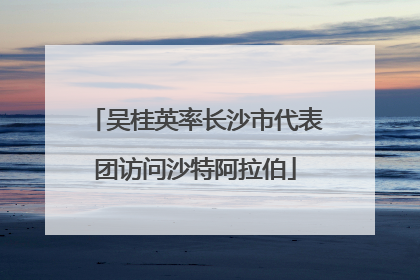吴桂英率长沙市代表团访问沙特阿拉伯