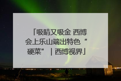 吸睛又吸金 西博会上乐山端出特色“硬菜”｜西博视界
