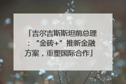吉尔吉斯斯坦前总理：“金砖+”推新金融方案，重塑国际合作