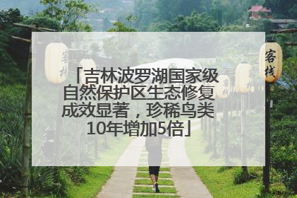 吉林波罗湖国家级自然保护区生态修复成效显著，珍稀鸟类10年增加5倍