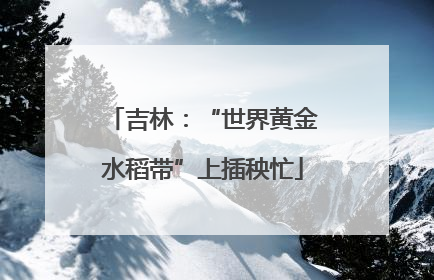 吉林：“世界黄金水稻带”上插秧忙