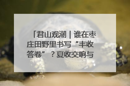 君山观潮｜谁在枣庄田野里书写“丰收答卷”？夏收交响与特色产业，共绘乡村振兴新图景