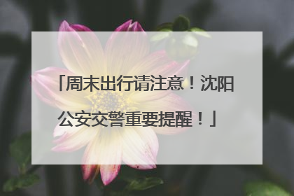 周末出行请注意！沈阳公安交警重要提醒！