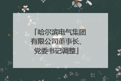 哈尔滨电气集团有限公司董事长、党委书记调整