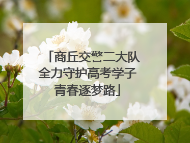 商丘交警二大队全力守护高考学子青春逐梦路
