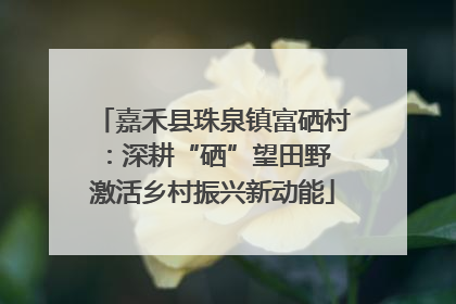 嘉禾县珠泉镇富硒村：深耕“硒”望田野 激活乡村振兴新动能