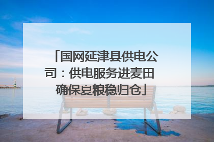 国网延津县供电公司：供电服务进麦田 确保夏粮稳归仓