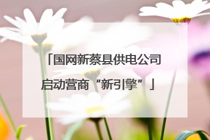 国网新蔡县供电公司启动营商“新引擎”