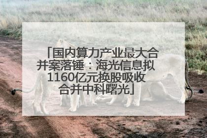 国内算力产业最大合并案落锤：海光信息拟1160亿元换股吸收合并中科曙光