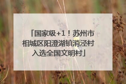 国家级+1！苏州市相城区阳澄湖镇消泾村入选全国文明村