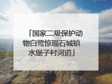 国家二级保护动物白鹭惊现石城镇水堡子村河道